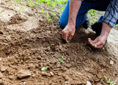 Clinica de Recuperação para tratamento de Dependencia quimica e alcoolismo - laborterapia
