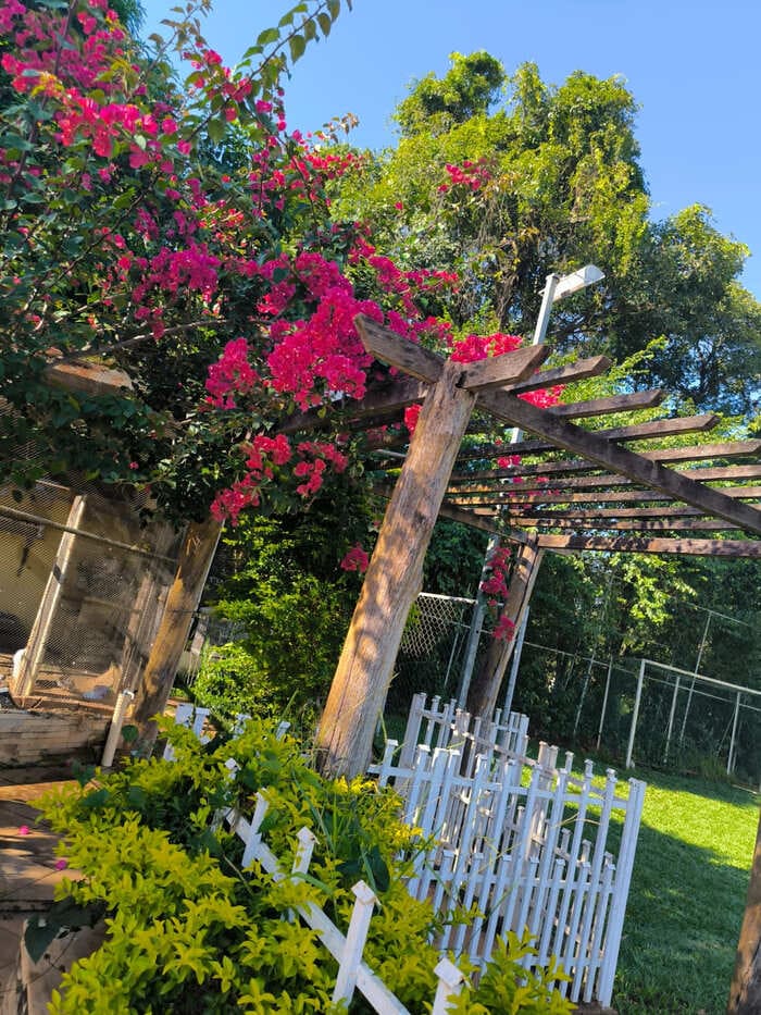 Clinica de tratamento para dependentes quimicos e alcoolismo - projeto liberdade