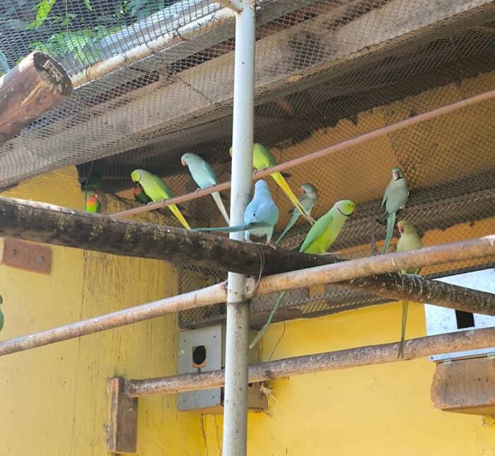 Clinica de tratamento para dependentes quimicos e alcoolismo - projeto liberdade