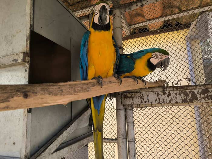 Clinica de tratamento para dependentes quimicos e alcoolismo - projeto liberdade