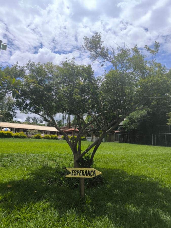 Clinica de tratamento para dependentes quimicos e alcoolismo - projeto liberdade