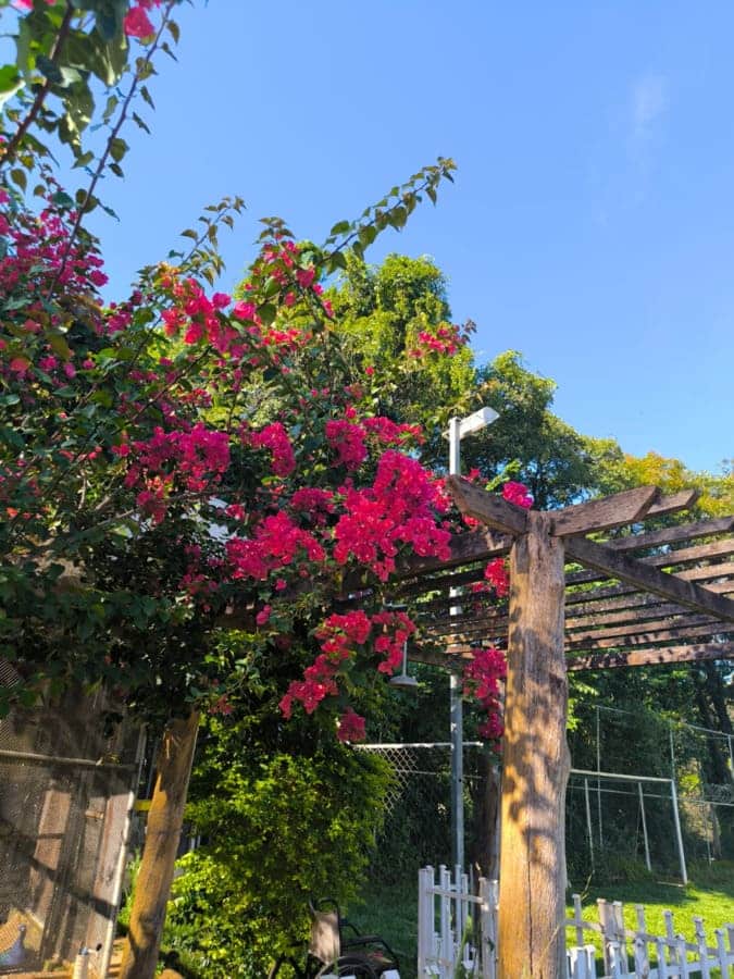 Clinica de tratamento para dependentes quimicos e alcoolismo - projeto liberdade