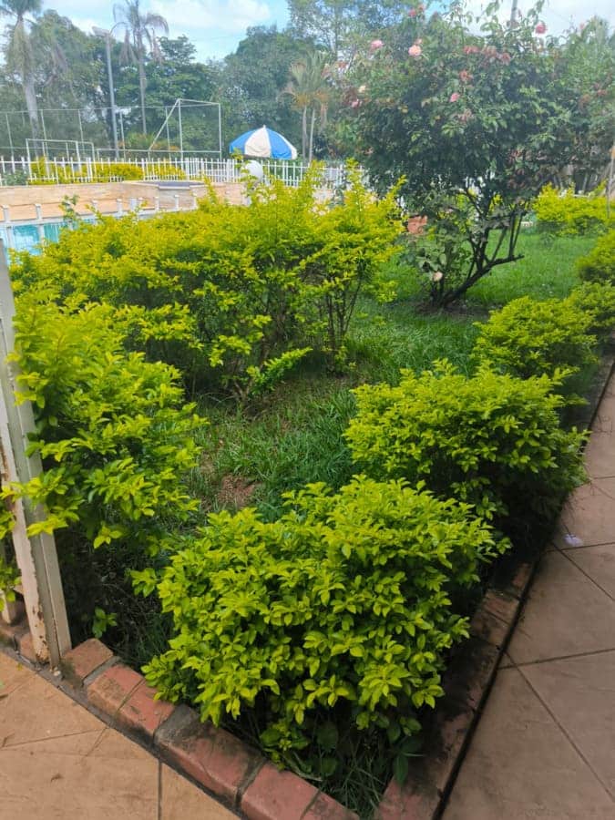 Clinica de tratamento para dependentes quimicos e alcoolismo - projeto liberdade