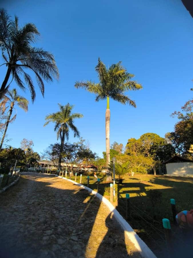 Clinica de tratamento para dependentes quimicos e alcoolismo - projeto liberdade