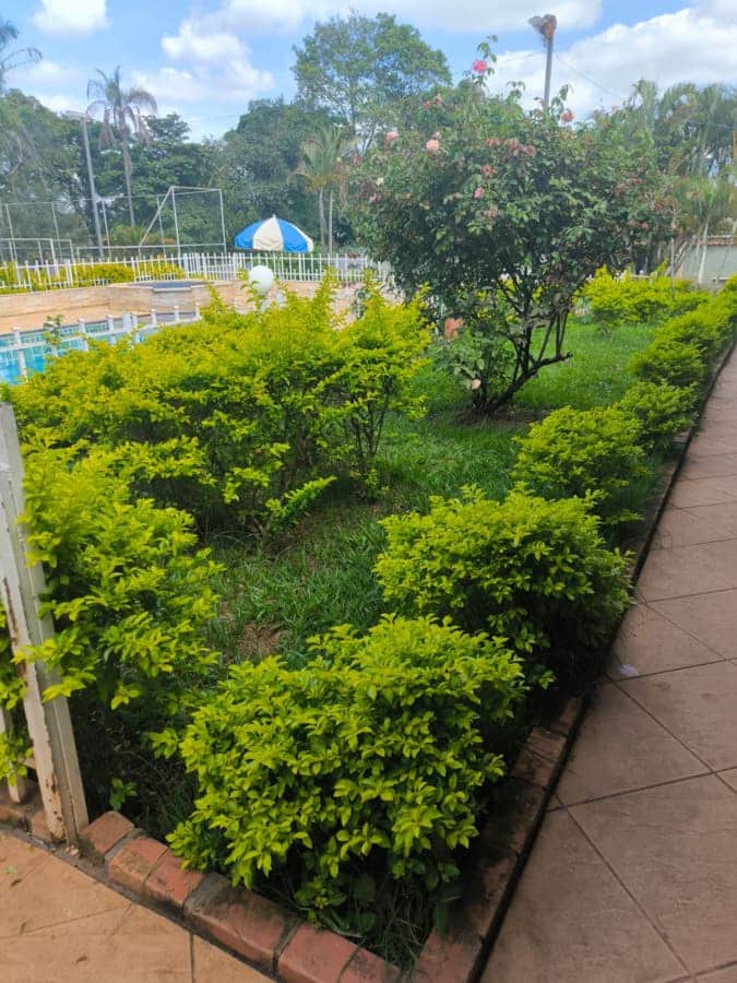 Clinica de tratamento para dependentes quimicos e alcoolismo - projeto liberdade