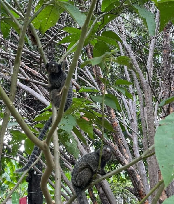 Clinica de tratamento para dependentes quimicos e alcoolismo - projeto liberdade