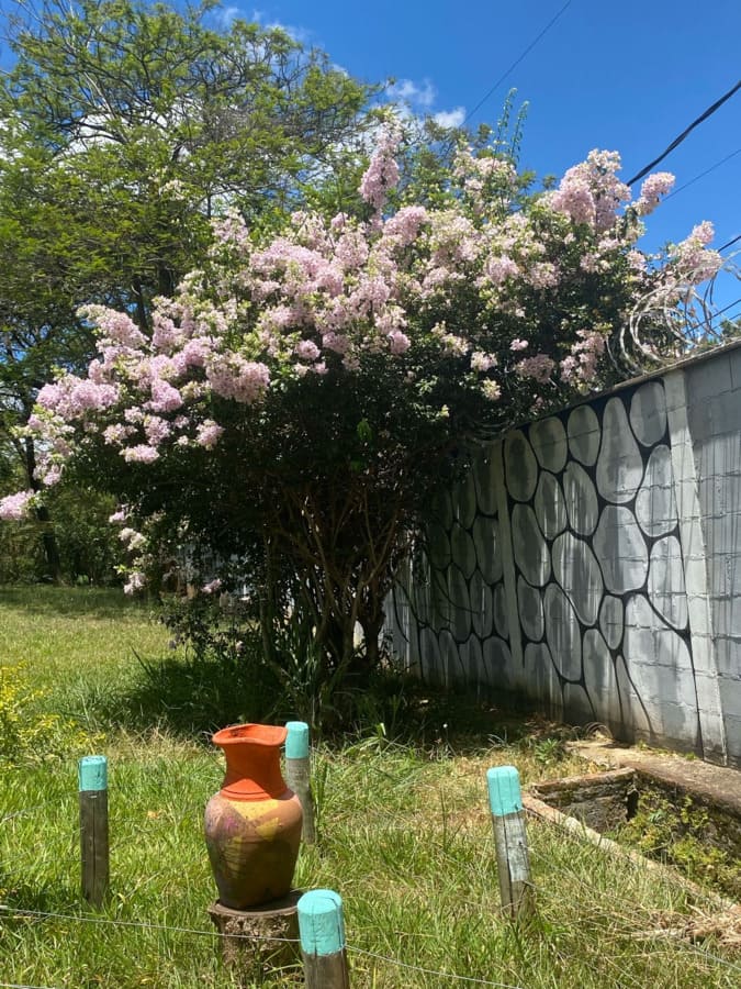 Clinica de tratamento para dependentes quimicos e alcoolismo - projeto liberdade