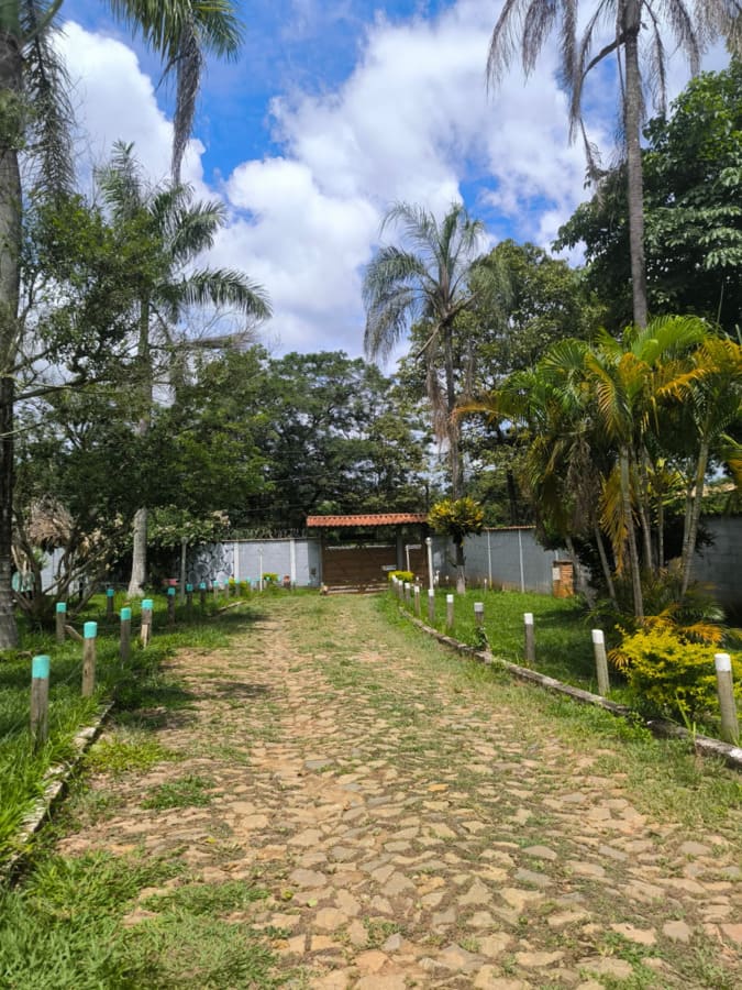 Clinica de tratamento para dependentes quimicos e alcoolismo - projeto liberdade