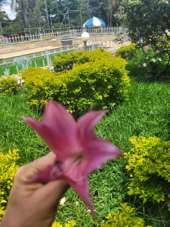 Clinica de tratamento para dependentes quimicos e alcoolismo - projeto liberdade