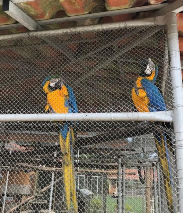 Clinica de tratamento para dependentes quimicos e alcoolismo - projeto liberdade