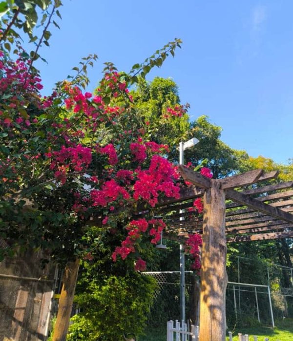 Clinica de tratamento para dependentes quimicos e alcoolismo - projeto liberdade