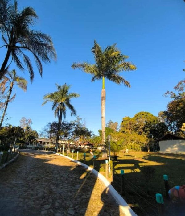 Clinica de tratamento para dependentes quimicos e alcoolismo - projeto liberdade