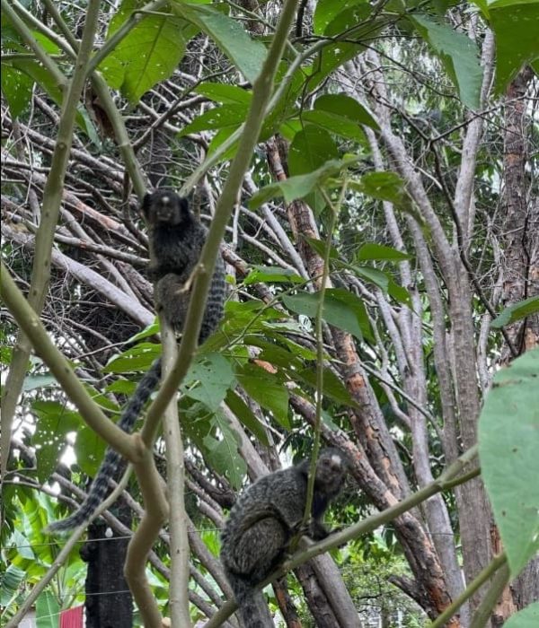 Clinica de tratamento para dependentes quimicos e alcoolismo - projeto liberdade