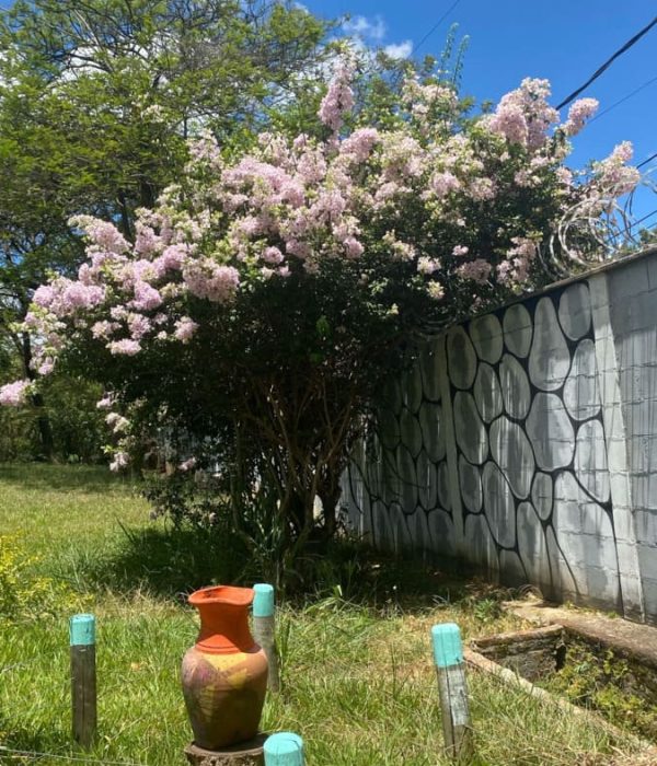 Clinica de tratamento para dependentes quimicos e alcoolismo - projeto liberdade