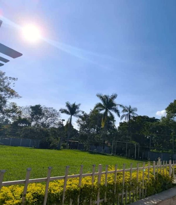 Clinica de tratamento para dependentes quimicos e alcoolismo - projeto liberdade